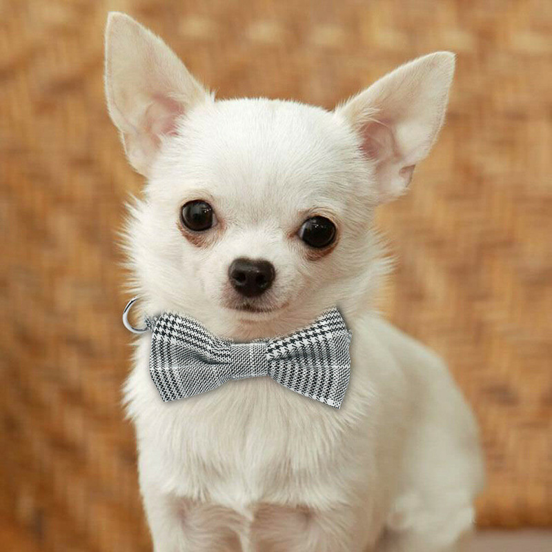 cute dog bow ties