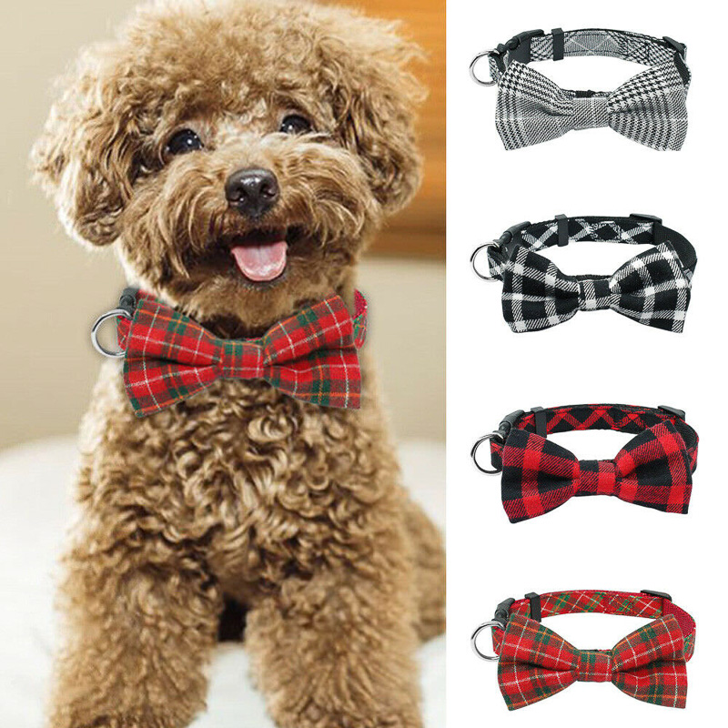 puppy bow tie collar